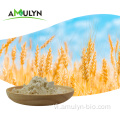 Bột protein lúa mì thủy phân cô đặc 80% có nguồn gốc thực vật